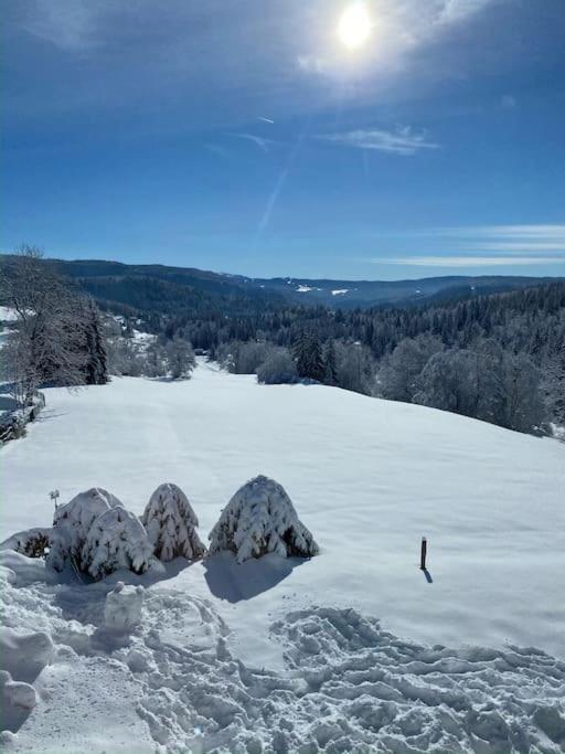 Appartement Lumineux Avec Vue Sur Les Montagnes Morbier Exterior photo